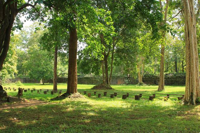 Khoảng không gian xung quanh ngôi đền chính rất đẹp với những cây cổ thụ lâu năm. Từng tia sáng lọt qua tán lá nhuốm màu của nắng lên nền đất cỏ khiến cảnh vật trở nên thanh bình, tĩnh tại.